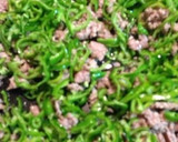 豚ひき肉とピーマンのとろみ炒め作り方5写真
