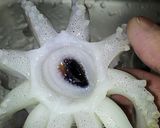 イカのスペイン風炒め作り方6写真