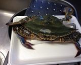ワタリガニのトマトクリームパスタ作り方1写真