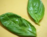 簡単なのに見栄えのする冷製パスタ作り方8写真