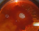 めんつゆで明太あんかけ玉子とじのおうどん作り方1写真