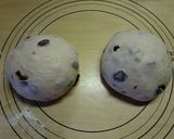 たっぷりレーズン角食作り方1写真