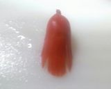 お弁当に☆ちっちゃいタコさんウィンナー作り方3写真