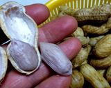 レンジ圧力鍋で茹で落花生（ラッカセイ）作り方7写真