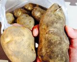 【十勝一年生】簡単 いももち作り方1写真