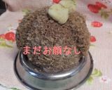 犬用 ヘルシーお誕生日ケーキ♪作り方5写真