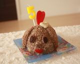 犬用 ヘルシーお誕生日ケーキ♪作り方7写真
