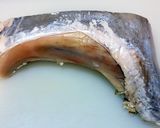 マグロのカマ焼き作り方1写真