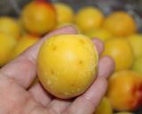 梅のコンポート~梅ジュース♪作り方3写真