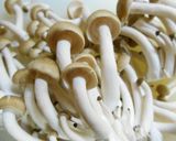 包み方伝授☆キノコのホイル焼き作り方3写真