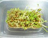追加の１品☆豆苗の簡単ゆかりあえ作り方4写真