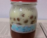 簡単レーズン酵母おこし作り方4写真