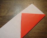 春!春巻き作り方16写真
