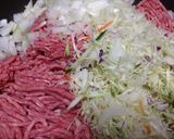 meiko 風 ヘルシーハンバーグ作り方1写真