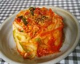 【韓国】キムチ〔薬念(ﾔﾝﾆｮﾑ)編〕作り方18写真