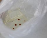 サラダ油でシナモン風味のパン耳ラスク♡作り方2写真