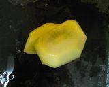 星のキウイ お弁当のデザートに。作り方2写真
