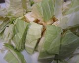 合挽きとキャベツのカレー炒め作り方1写真
