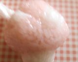 かわいい キノコおにぎり作り方6写真