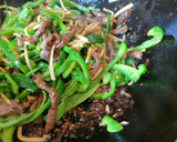 本格青椒肉絲作り方12写真