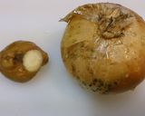 焼売作り方1写真