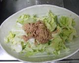 火も包丁もなし!!きゃべつのホットサラダ作り方2写真