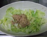 火も包丁もなし!!きゃべつのホットサラダ作り方3写真