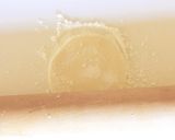 もちもち☆餃子の皮作り方4写真