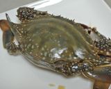 カンジャンケジャンの食べ方(さばき方)作り方1写真