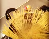 パンチェッタと大葉のパスタ♪作り方3写真
