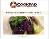 なすのあげびたし作り方4写真