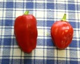 ☀ハバネロと赤ピーマンdeレモン胡椒作り方10写真