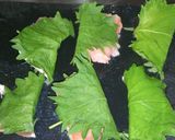 簡単！ 鮭の大葉包み天ぷら作り方1写真