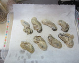 柿と牡蠣のグリル作り方3写真