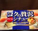 クリームシチューのようなスープ作り方4写真