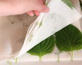 簡単☆ご飯によく合うエゴマの葉の醤油漬け作り方1写真