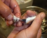 釣った”片口いわし”で美味しい天ぷら作り方2写真