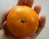 大人のためのmintojulepゼリー♡作り方1写真