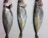 簡単！アレンジ自在。小あじの南蛮漬け。作り方1写真