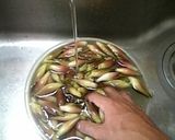 風味豊かまろやか仕立てみょうがの甘酢漬け作り方1写真