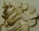 副菜に！蓮根の技ありペペロンチーノ作り方1写真