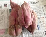我が家のスイートポテト☆作り方1写真