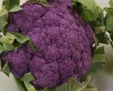 花が咲いたよ!パープルフラワーサラダ作り方1写真