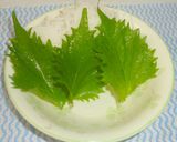 パパのキハダマグロの刺身④作り方2写真