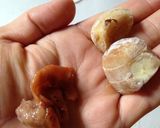 ★圧力鍋で簡単さんまの甘露煮★作り方3写真