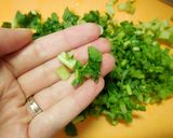 ご飯の友　大根葉の梅ジャコ炒め　どすぇ作り方1写真
