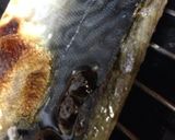 鯖の塩焼き甘だれかけ作り方6写真