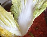 かなり本格キムチ！発酵食品をとりたーい♡作り方12写真