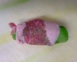 豚肉青梗菜のロールカツ風作り方3写真