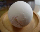 温泉たまご＆茹でたまご作り方4写真
